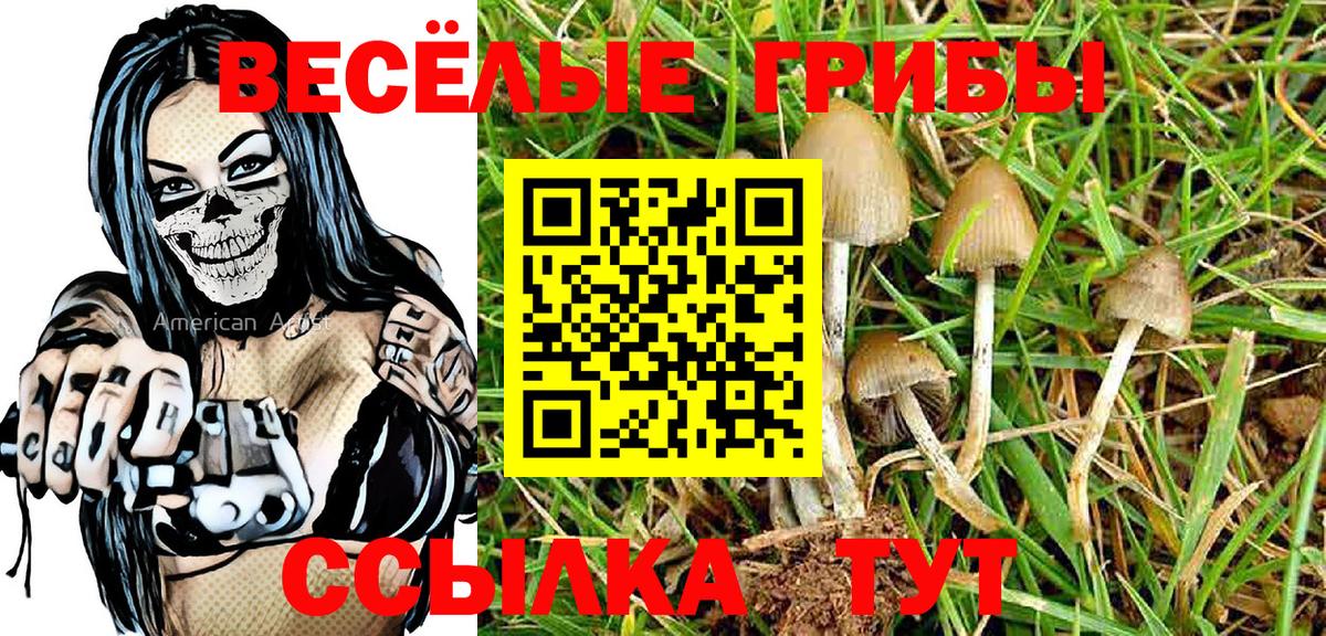 Галлюциногенные грибы Cubensis  Вход с VPN  Туймазы 