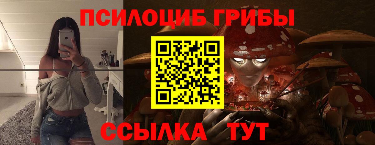 Псилоцибиновые грибы Cubensis Туймазы